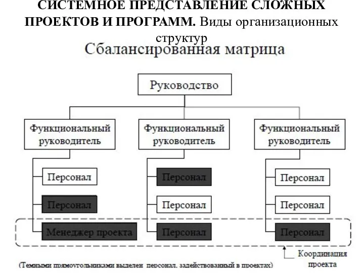 СИСТЕМНОЕ ПРЕДСТАВЛЕНИЕ СЛОЖНЫХ ПРОЕКТОВ И ПРОГРАММ. Виды организационных структур