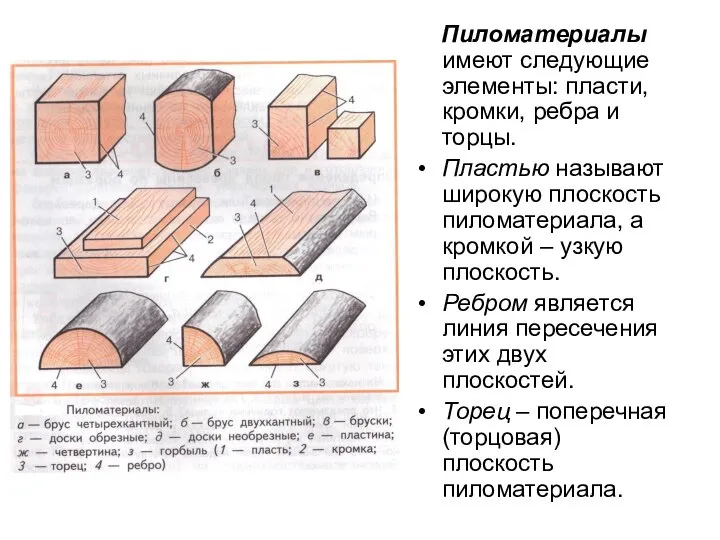 Пиломатериалы имеют следующие элементы: пласти, кромки, ребра и торцы. Пластью называют