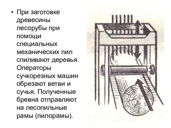 При заготовке древесины лесорубы при помощи специальных механических пил спиливают деревья.