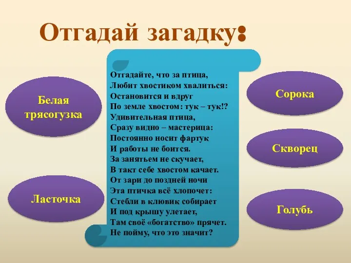 Отгадай загадку: Отгадайте, что за птица, Любит хвостиком хвалиться: Остановится и