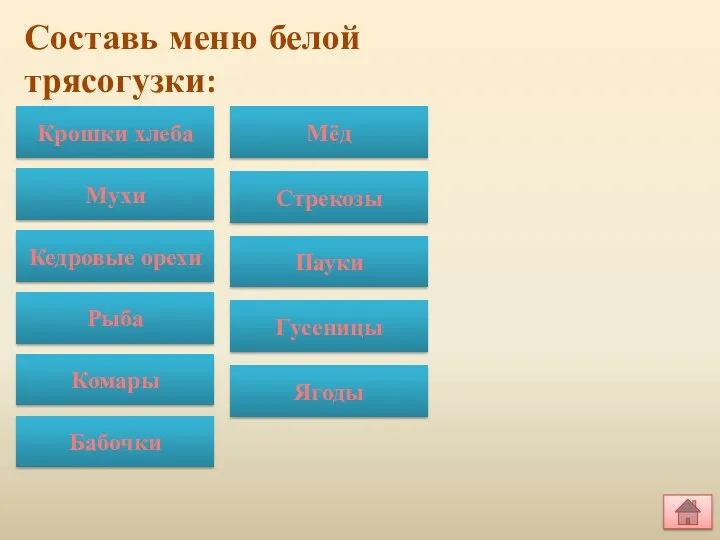 Составь меню белой трясогузки: Крошки хлеба Мухи Кедровые орехи Рыба Комары