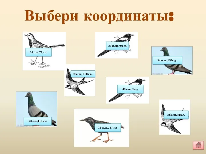 Выбери координаты: 38 с.ш,78 з.д. 33 ю.ш,70з..д. 34ю.ш.,150в.д.. 20с.ш., 100з.д.. 48