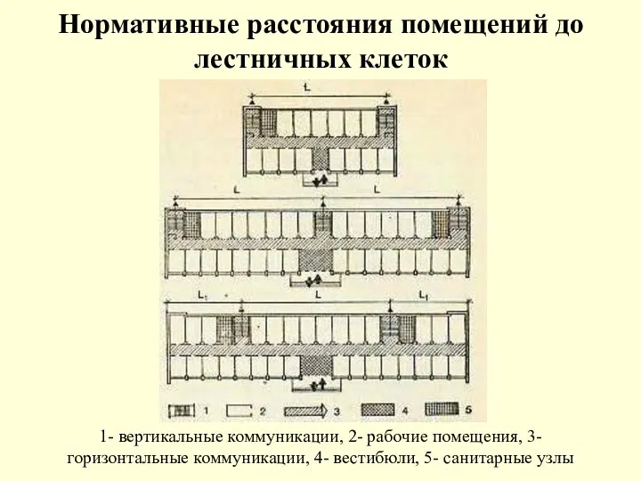 Нормативные расстояния помещений до лестничных клеток 1- вертикальные коммуникации, 2- рабочие