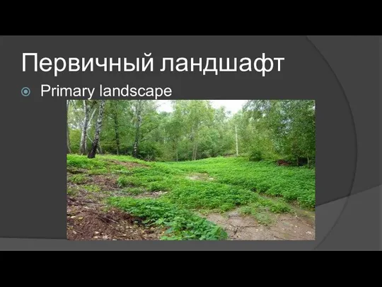 Первичный ландшафт Primary landscape