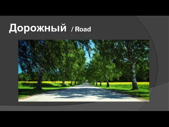 Дорожный / Road