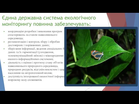 Єдина державна система екологічного моніторингу повинна забезпечувать: координацію розробки і виконання