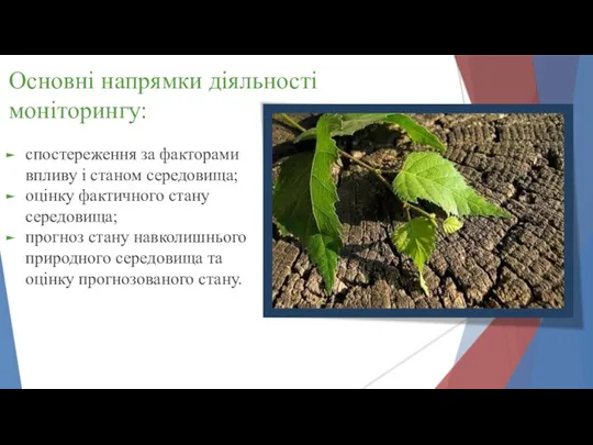 Основні напрямки діяльності моніторингу: спостереження за факторами впливу і станом середовища;