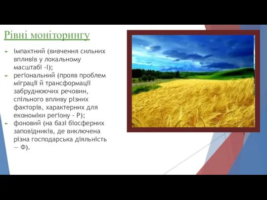 Рівні моніторингу імпактний (вивчення сильних впливів у локальному масштабі -І); регіональний