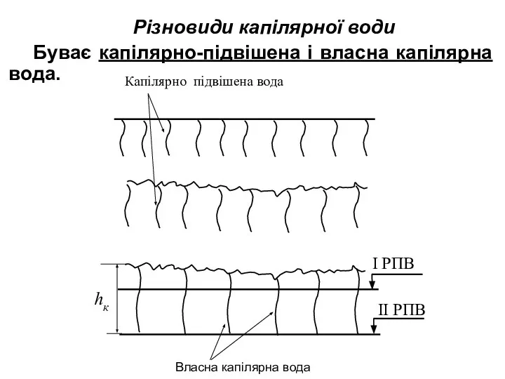 Різновиди капілярної води Буває капілярно-підвішена і власна капілярна вода.