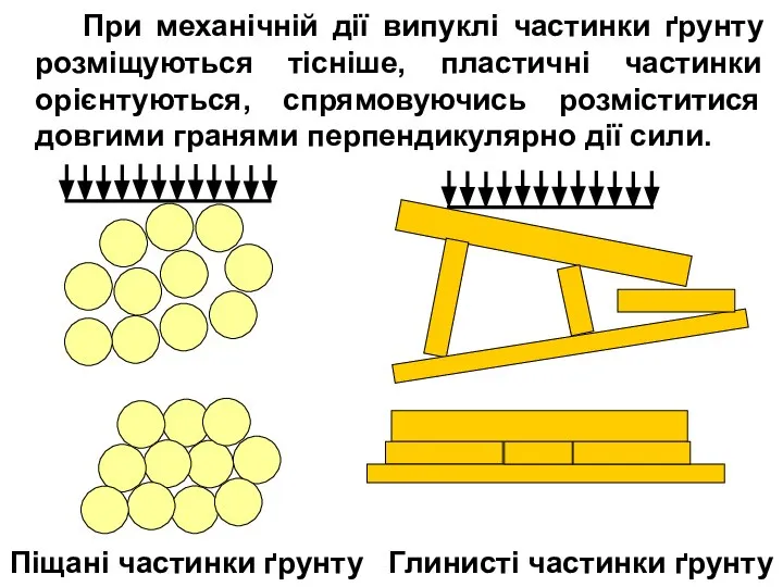 При механічній дії випуклі частинки ґрунту розміщуються тісніше, пластичні частинки орієнтуються,