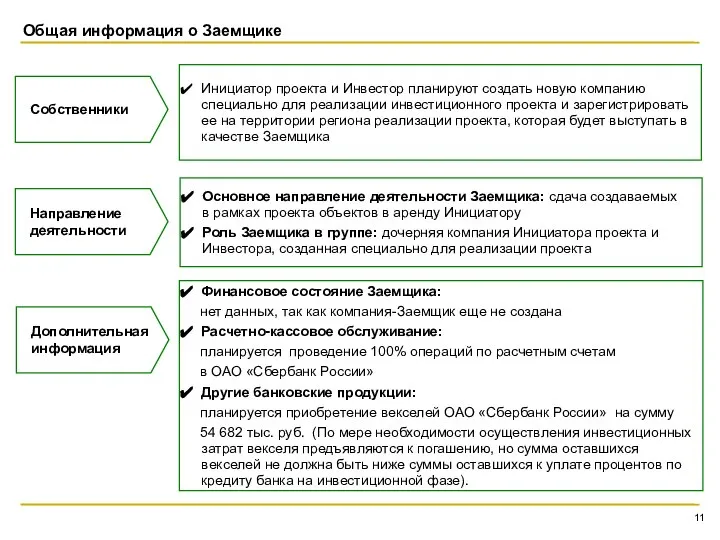 Общая информация о Заемщике Собственники Инициатор проекта и Инвестор планируют создать