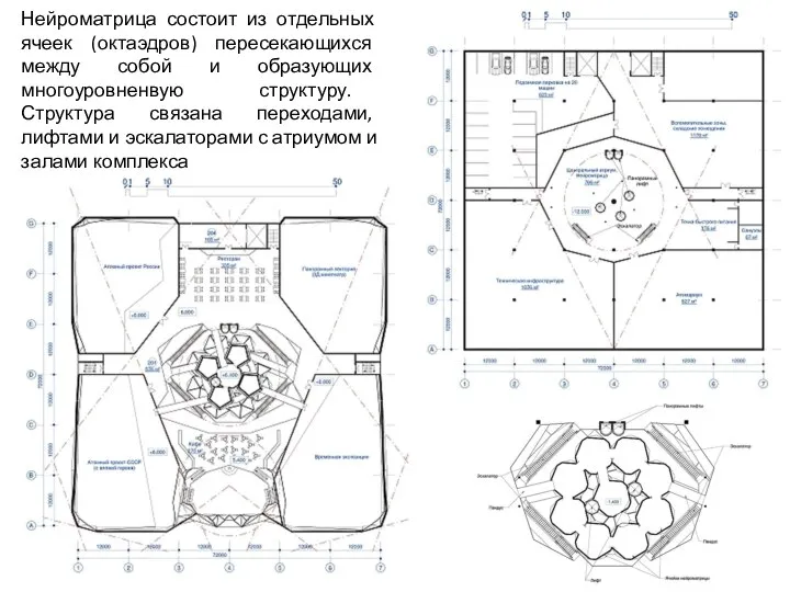 Нейроматрица состоит из отдельных ячеек (октаэдров) пересекающихся между собой и образующих