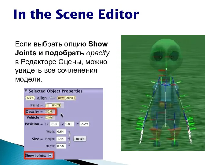 In the Scene Editor Если выбрать опцию Show Joints и подобрать