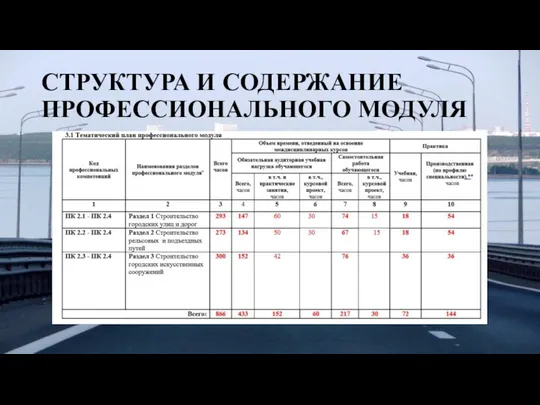 СТРУКТУРА И СОДЕРЖАНИЕ ПРОФЕССИОНАЛЬНОГО МОДУЛЯ