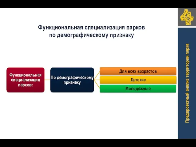 Функциональная специализация парков по демографическому признаку Предпроектный анализ территории парка