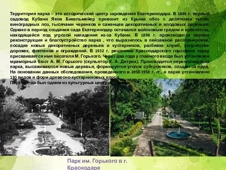 Парк им. Горького в г. Краснодаре Территория парка – это исторический