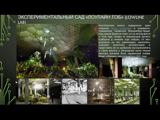 ЭКСПЕРИМЕНТАЛЬНЫЙ САД «ЛОУЛАЙН ЛЭБ» (LOWLINE LAB) Нью-йоркские власти поддержали идею создания