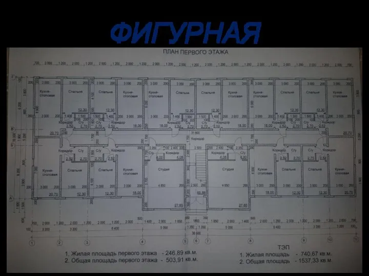 ФИГУРНАЯ 1/2