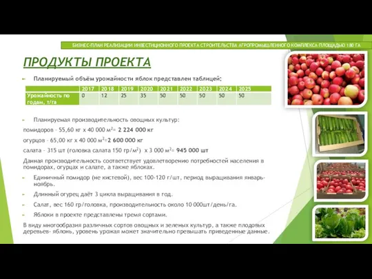 ПРОДУКТЫ ПРОЕКТА Планируемый объём урожайности яблок представлен таблицей: Планируемая производительность овощных