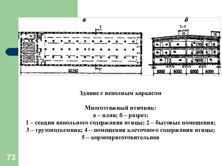 Здание с неполным каркасом Многоэтажный птичник: а – план; б –