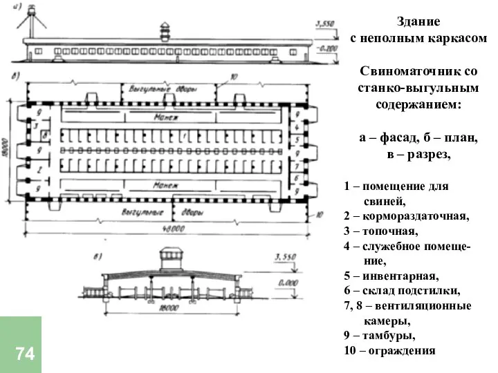 Здание с неполным каркасом Свиноматочник со станко-выгульным содержанием: а – фасад,