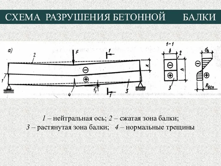 СХЕМА РАЗРУШЕНИЯ БЕТОННОЙ БАЛКИ 1 – нейтральная ось; 2 – сжатая