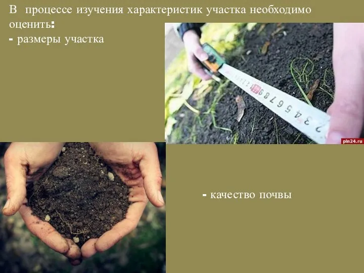 В процессе изучения характеристик участка необходимо оценить: - размеры участка - качество почвы