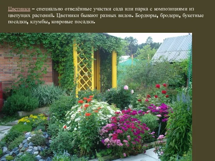 Цветники – специально отведённые участки сада или парка с композициями из