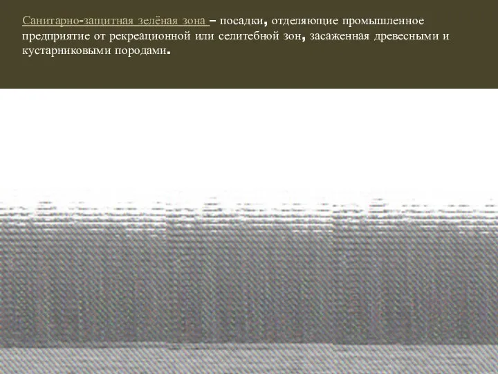 Санитарно-защитная зелёная зона – посадки, отделяющие промышленное предприятие от рекреационной или