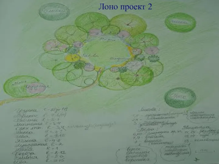 Лоно проект 2