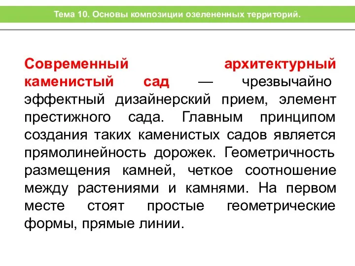 Современный архитектурный каменистый сад — чрезвычайно эффектный дизайнерский прием, элемент престижного