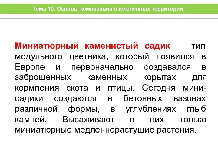 Миниатюрный каменистый садик — тип модульного цветника, который появился в Европе