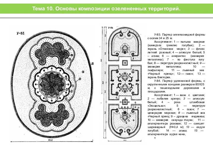 У-83. Партер эллипсовидной формы с осями 34 и 25 м. Ассортимент: