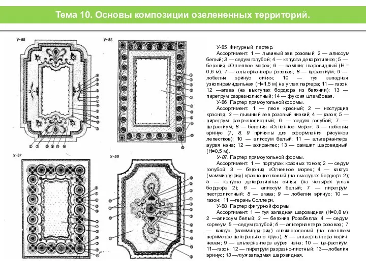 У-85. Фигурный партер. Ассортимент: 1 — львиный зев розовый; 2 —