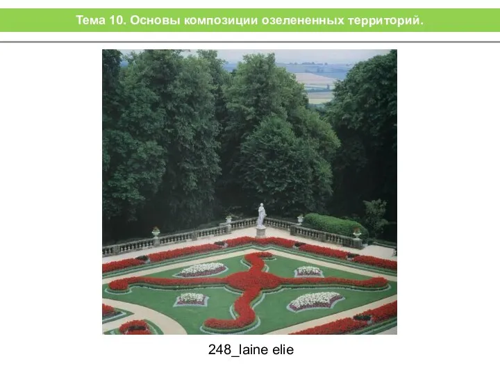 248_laine elie Тема 10. Основы композиции озелененных территорий.