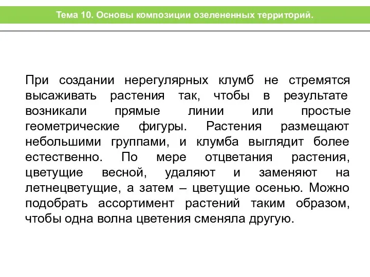 При создании нерегулярных клумб не стремятся высаживать растения так, чтобы в