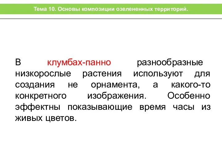 В клумбах-панно разнообразные низкорослые растения используют для создания не орнамента, а