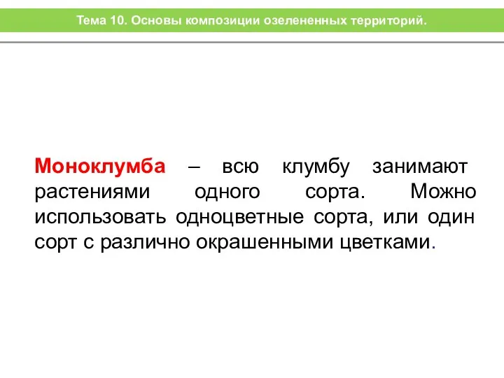 Моноклумба – всю клумбу занимают растениями одного сорта. Можно использовать одноцветные