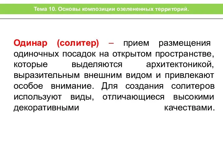 Одинар (солитер) – прием размещения одиночных посадок на открытом пространстве, которые