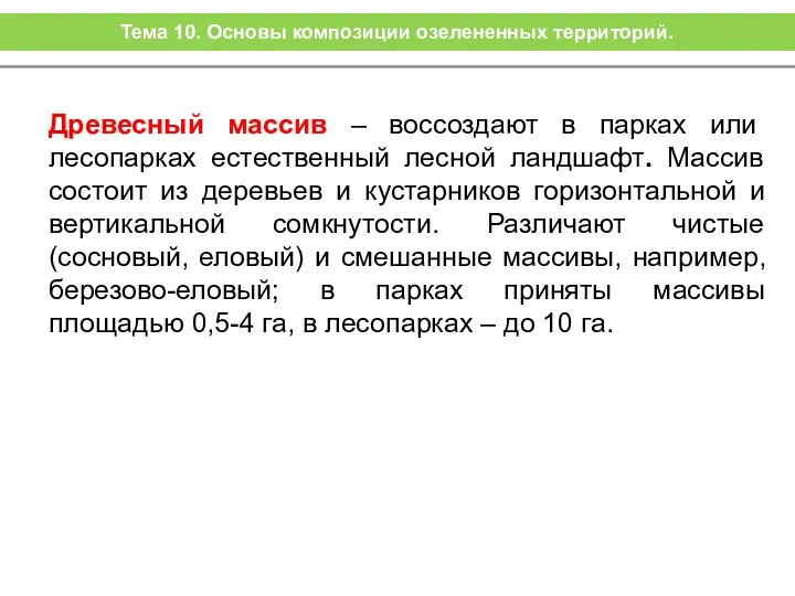 Древесный массив – воссоздают в парках или лесопарках естественный лесной ландшафт.