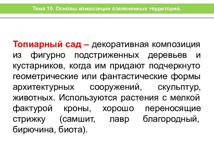 Топиарный сад – декоративная композиция из фигурно подстриженных деревьев и кустарников,