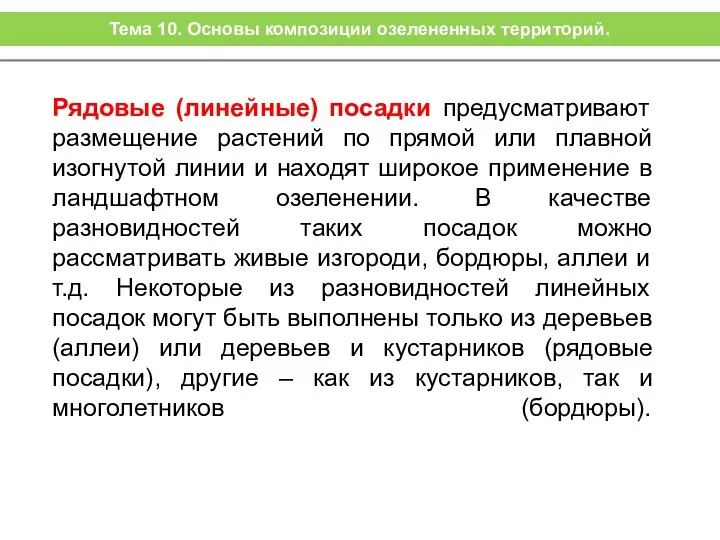 Рядовые (линейные) посадки предусматривают размещение растений по прямой или плавной изогнутой