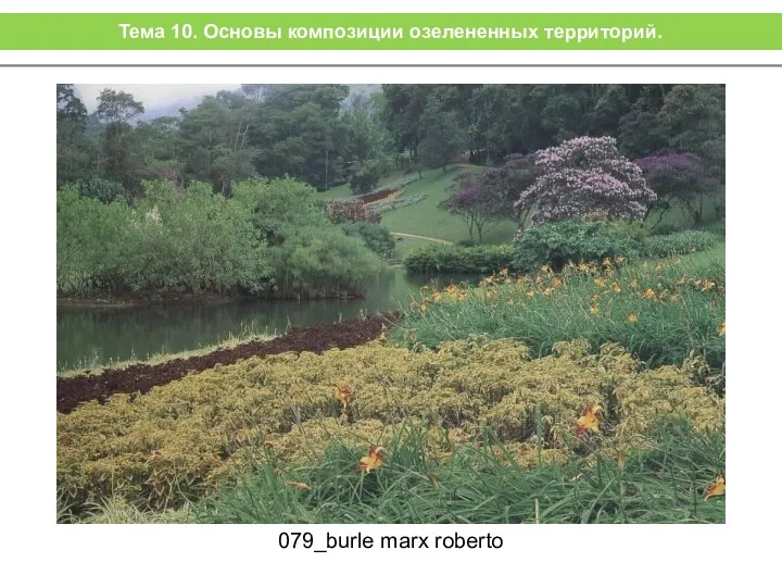 079_burle marx roberto Тема 10. Основы композиции озелененных территорий.