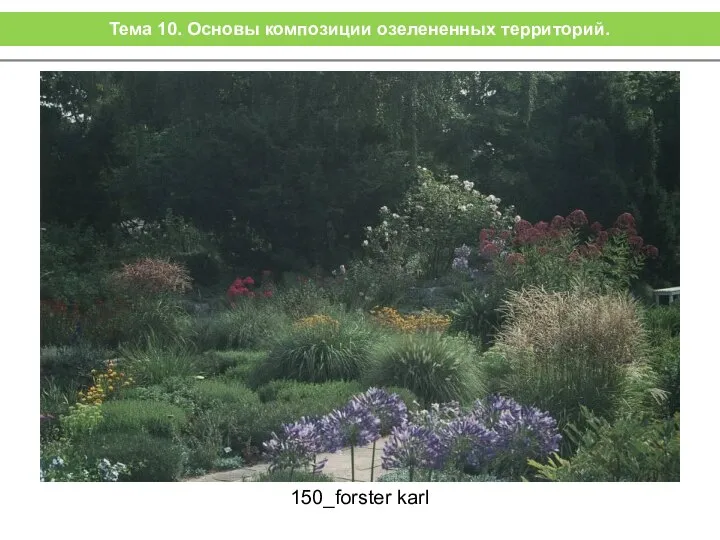 150_forster karl Тема 10. Основы композиции озелененных территорий.