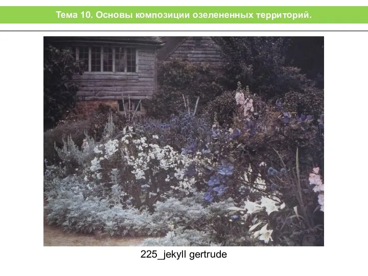 225_jekyll gertrude Тема 10. Основы композиции озелененных территорий.