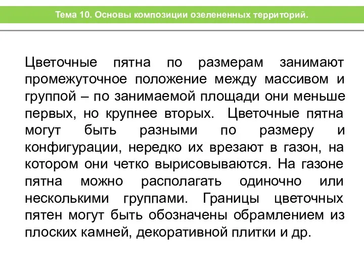 Цветочные пятна по размерам занимают промежуточное положение между массивом и группой