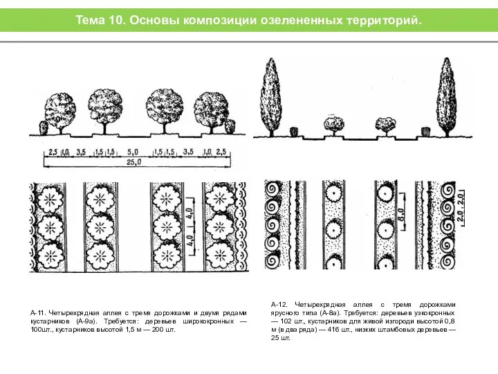 А-11. Четырехрядная аллея с тремя дорожками и двумя рядами кустарников (А-9а).