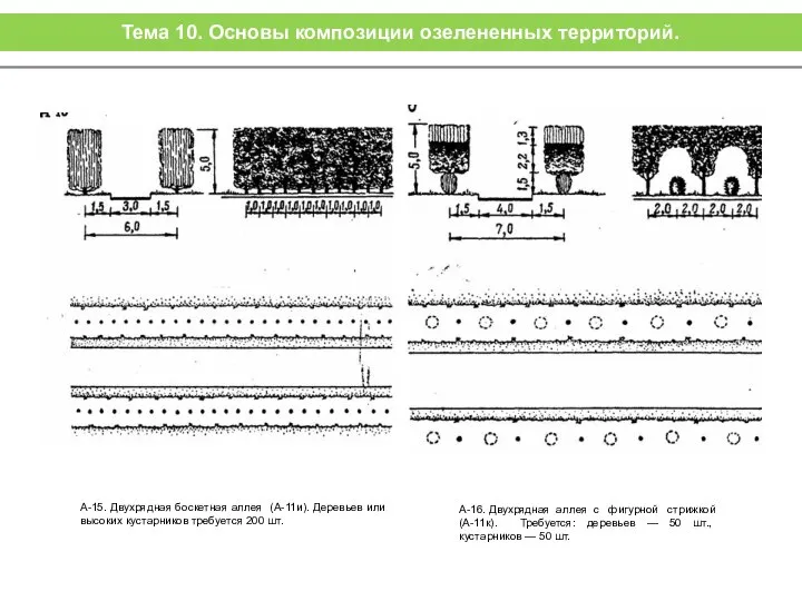 А-15. Двухрядная боскетная аллея (А-11и). Деревьев или высо­ких кустарников требуется 200