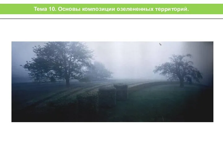 Тема 10. Основы композиции озелененных территорий.