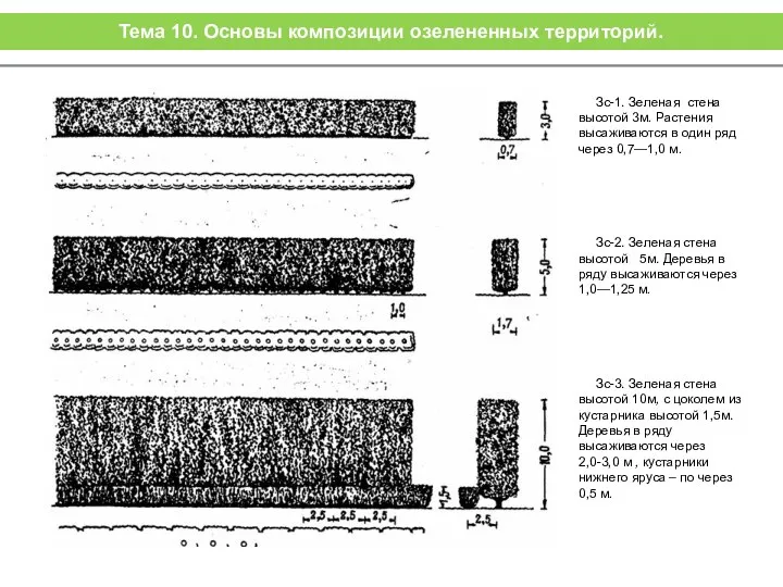 Зс-1. Зеленая стена высотой 3м. Растения высаживаются в один ряд через